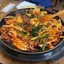 정준오리 이미지