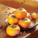 진영화훼