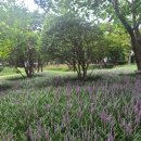 경상감영공원 이미지