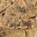 유구체육관 이미지