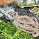[군자] 군자역 맛집 힘찬갯벌낙지 콜키지 비용