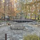 월영연못공원 이미지