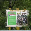 개미들솔향기야영장 이미지