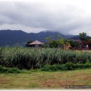 순천만의 추억 이미지