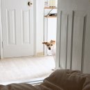 대한사료(주) | 강아지 눈물자국 사료 헬시20 프리미엄 눈물 소프트타입 사료 후기