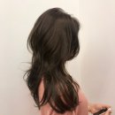 델라헤어 - 완주군 삼봉3로 50 | 델라헤어