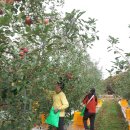 축산마을농장 이미지