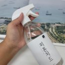 매트리스 벌레 셀프 좀벌레 청소하기!