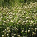 인화목장 이미지