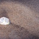 정선중학교 이미지