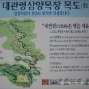 삼양여행사
