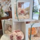 꽃집초이 이미지