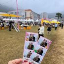 희망주유소 | 고창 벚꽃축제 후기 주차 꿀팁 및 먹거리 행사 총정리