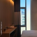 트레블로지 동대문 호텔 | 대중교통이 편리한 서울 을지로 가성비 숙소 트레블로지 동대문 호텔 후기