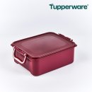 타파웨어 이미지