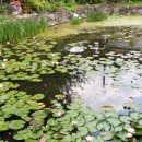 은산매화가든 이미지