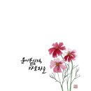 글씨테라피, 캘리그라피 이미지