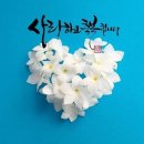 믿음 - 세종특별자치시 보통1길 124 | 믿음