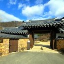 정곡천 네이버블로그
