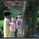 두륜산가든 이미지