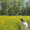 아남세탁 | 나트랑 더아남리조트 엑티비티 체험(아침 저녁요가, 코코넛잎만들기, 에코팜)