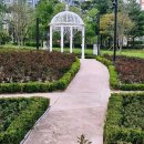 [여행] 오산 고인돌공원 후기 🌿 장미정원 + 도심 힐링 산책 코스