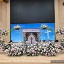 힐링꽃꽂이 이미지