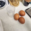 297 | [D+297] 후기 이유식 계란 큐브 만들기 : 노브랜드 계란찜기 vs 냄비 조리법 총정리