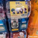 브라더카츠