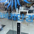 양산증산안경점 가격좋은 일회용렌즈 구입후기 다비치안경(양산증산역점)