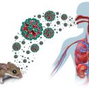 EVER컴퓨터.OA sciencenews