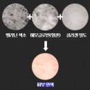 모네동물피부과 | 하얀 얼굴로 변신! 화이트닝 홈케어 방법과 피부과 후기 1탄 &#39;멜라닌 색소&#39;
