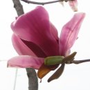 청암식당 이미지