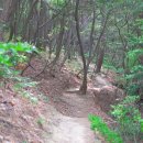 목도(나무섬,유구도)