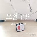 참빛농장 | 채식식단+코로나19 같은 인수공통감염병과 공장형 축산