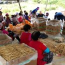 한돌농장 이미지