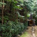 나무새 관광농원 이미지