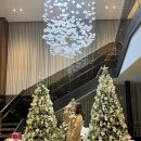 T.호텔 | T멤버십 &lt;Table 2025&gt; 호텔 식사 초청 이벤트 후기