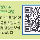 중앙채널 이미지
