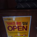 제주자연인글램핑 | 제주시내에서 가까운 아라동 자연인 글램핑장 후기! 애견동반가능 제주글램핑