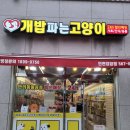 개밥파는고양이검암점