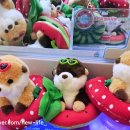 가든뽑기방 이미지