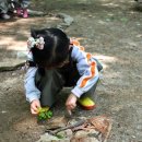 아름솔유치원 이미지