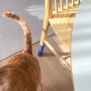 버림의 미학+ 미니멀 라이프 이미지