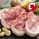 먹고보리 이미지