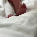 LK메디피아한방병원 | 37주 초산모 자연분만 5시간 출산 후기 기록