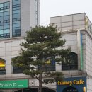 네츄럴100허니카페 이미지