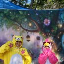 은행나무작은도서관 이미지