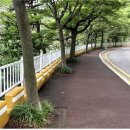 암남공원로 이미지