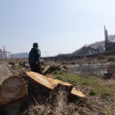 버드모아 이미지